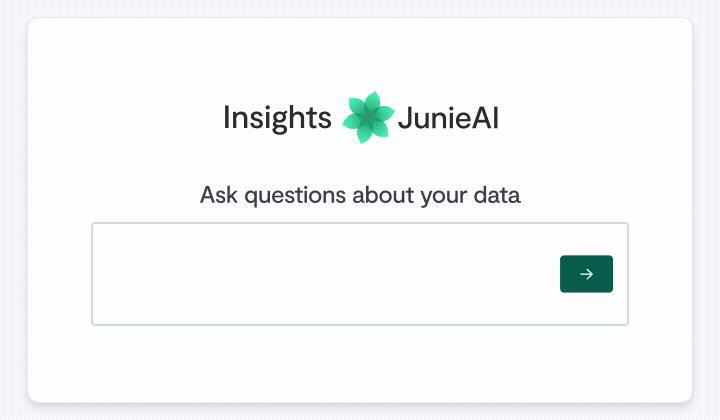 Junie AI Insights AI 0711